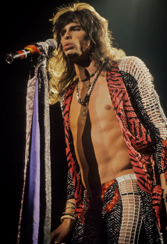 Aerosmith, Steven Tyler, Live, 1986 - Morrison Hotel Gallery