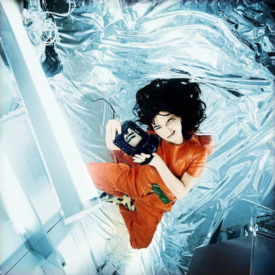 Bjork, In Space - Morrison Hotel Gallery