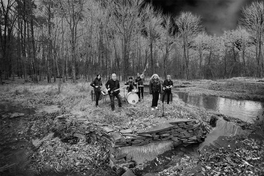 Blondie, In Wilderness, 2009 - Morrison Hotel Gallery