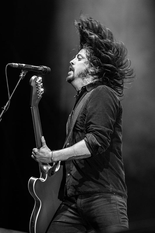 Dave Grohl, Foo Fighters, St. Poelten, Austria, 2011 - Morrison Hotel Gallery