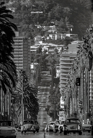 Doheny Drive, Beverly Hills, 1962 - Morrison Hotel Gallery