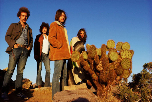 Eagles, Joshua Tree 1972 - Morrison Hotel Gallery