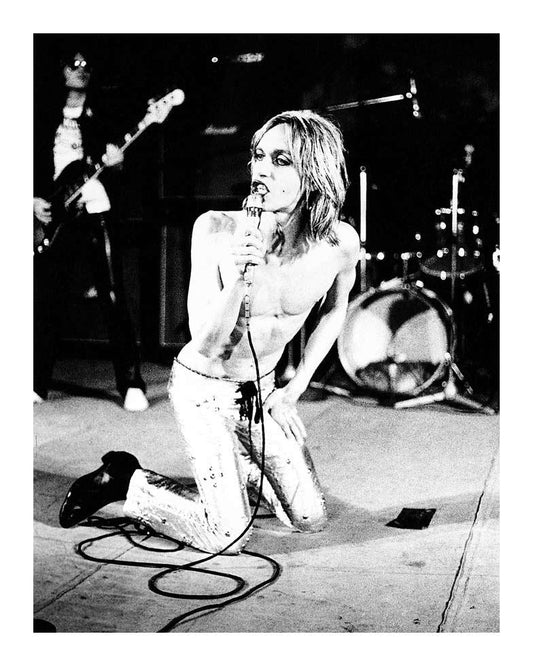 Iggy Pop on Knees - Morrison Hotel Gallery