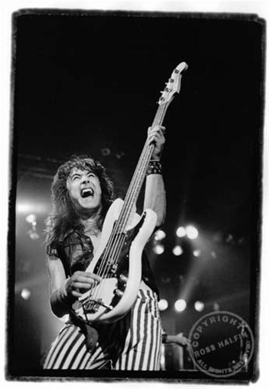 Iron Maiden, Steve Harris - Morrison Hotel Gallery