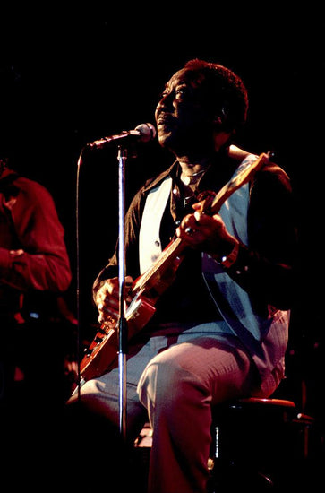 Muddy Waters, Pittsburgh, PA, 1980 - Morrison Hotel Gallery