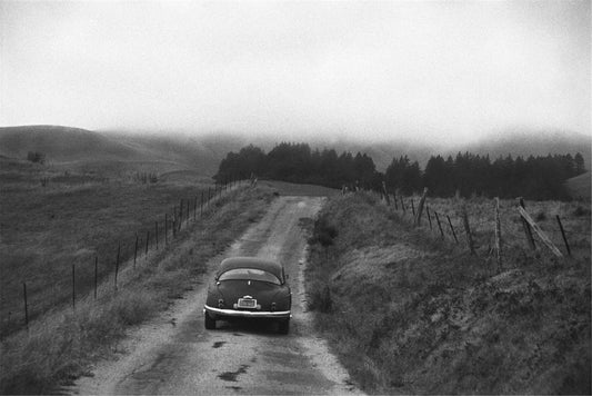 Neil Young, Northern California, 1988 - Morrison Hotel Gallery