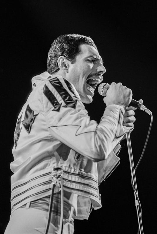 Queen, Freddie Mercury, Live, 1982 - Morrison Hotel Gallery