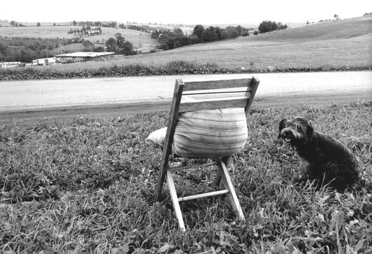 Woodstock, Bethel, NY, 1969 - Morrison Hotel Gallery